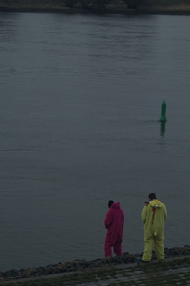 IMG 2617
