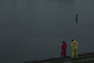 IMG 2618
